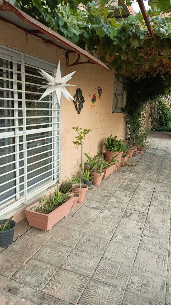 Farmhouse porch lined with potted plants
