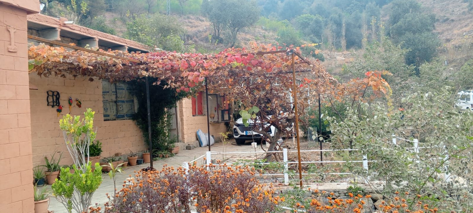 YULSA Farm House exterior with autumn vines and hillside behind