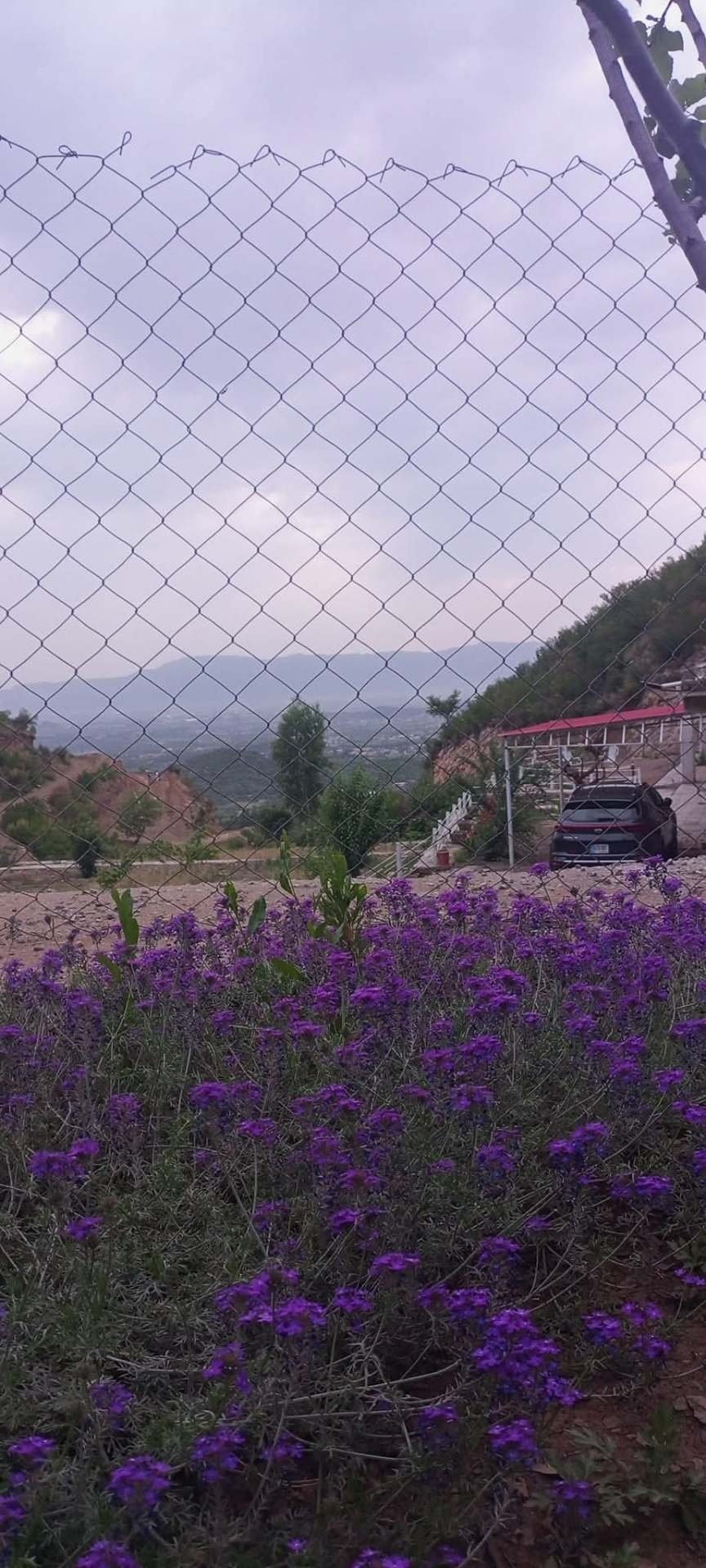 Mountain Views